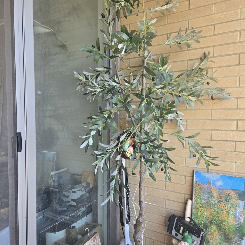Faux 6ft Olive Tree.